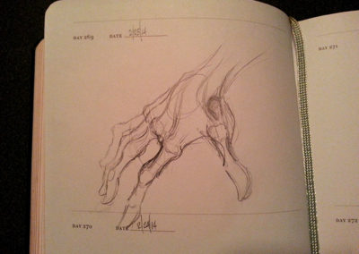 anatomy - hand